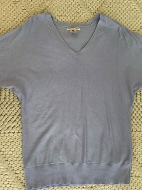 Max Studio Light Blue V-Neck Sweater